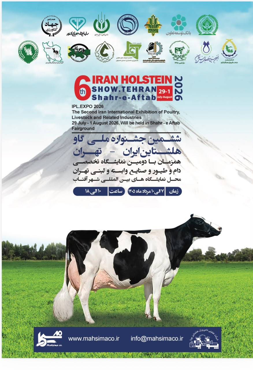 ششمین جشنواره گاو هلشتاین ایران