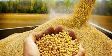 چرا طرحهای کاهش واردات نهاده دامی اجرا نمیشود؟ درهای وزارت جهاد به روی صاحب نظران بسته است
